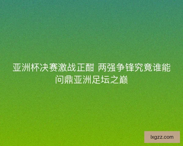 亚洲杯决赛激战正酣 两强争锋究竟谁能问鼎亚洲足坛之巅